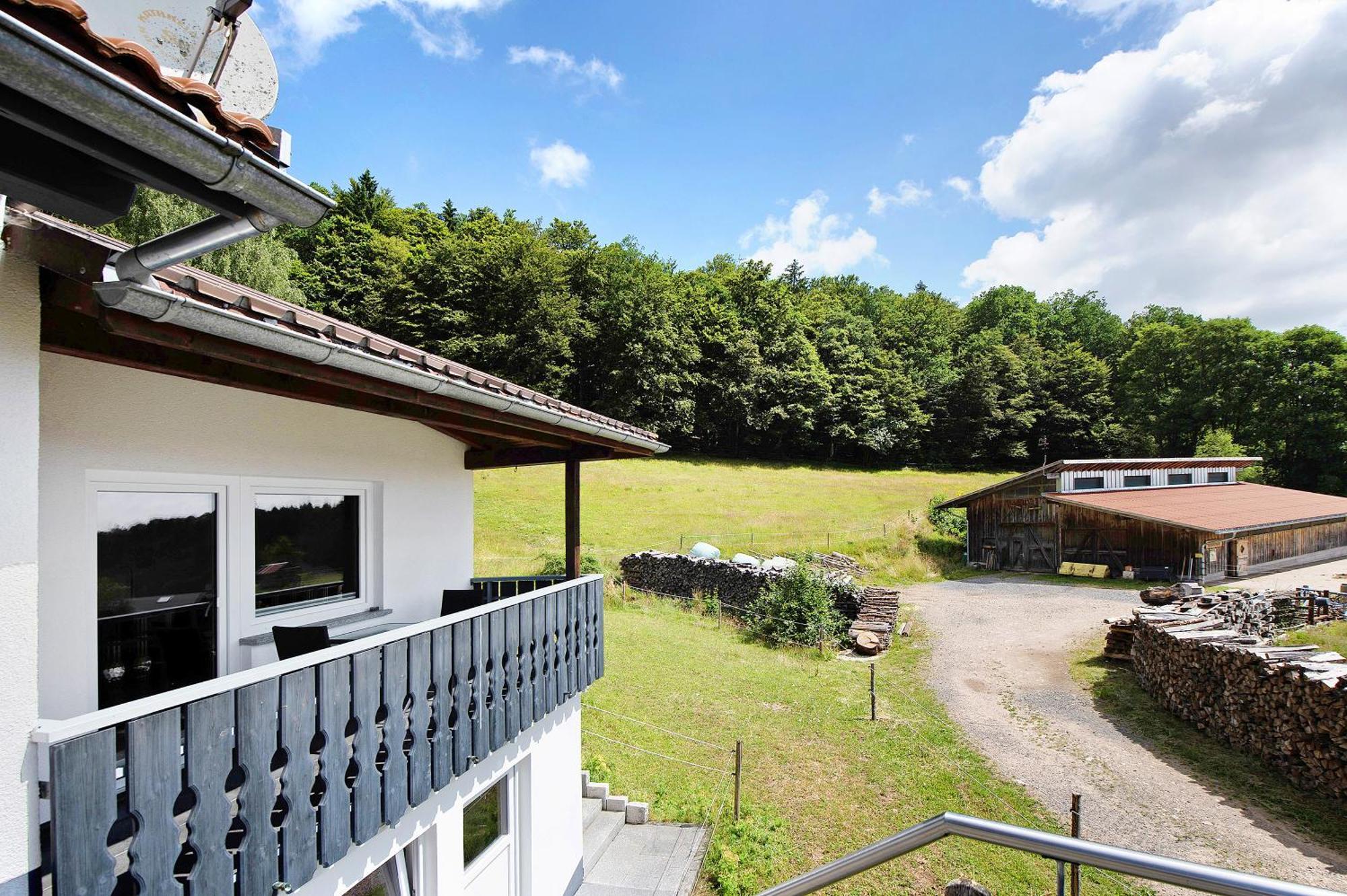 Haus Fritz Apartment Wittenschwand Екстериор снимка